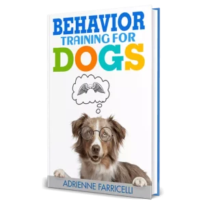 Your Dog’s Potential with Brain Training 4 Dogs