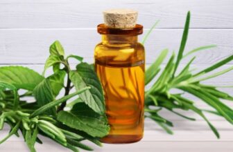 The Benefits of Using Essential Oils in Your Bath and Body Routine